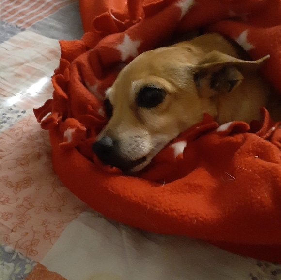 Meet your Posher, Paul - Picture 7 of 7